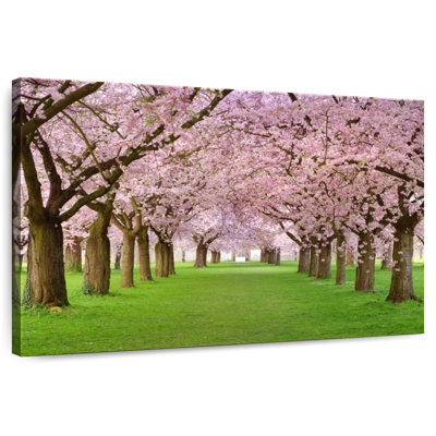 Harnek Cherry Blossom Trees
