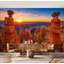 Papier peint adhésif autocollant amovible Bryce Sunrise-323446819