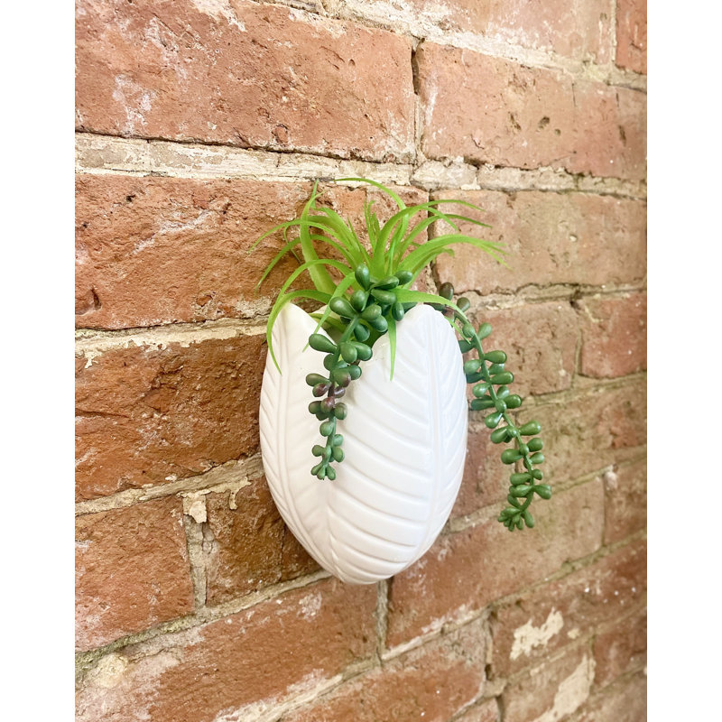 Calvillo Ceramic Wall Planter