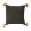 Polyester Indoor/Outdoor Throw Pillow-393944275-393944274