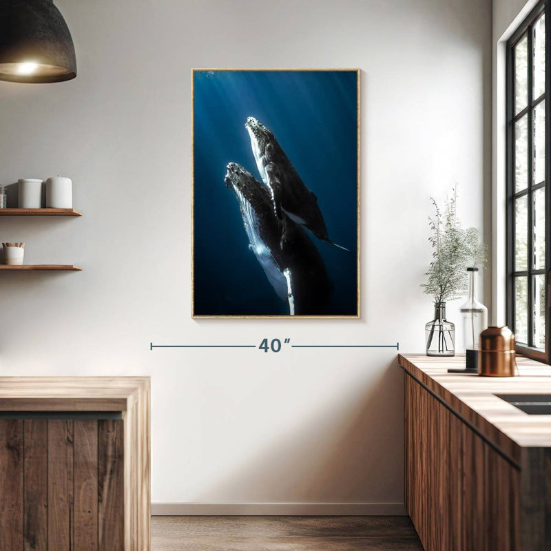 Baleine à bosse et son veau, Cadre flottant en bois naturel, 27 po x 40 po