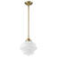 Luminaire suspendu 1 lumière à intensité variable