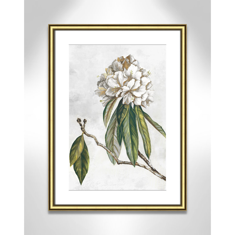 «Pearly Beauty II» par Eva Watts, Imprimé mat, L 18,25 po x H 24,25 po, Or classique