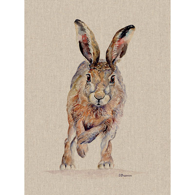 Jane Bannon - Wrapped Canvas Print