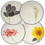Assiettes à apéritif floral 6,25 po Noritake Colorwave-9907100
