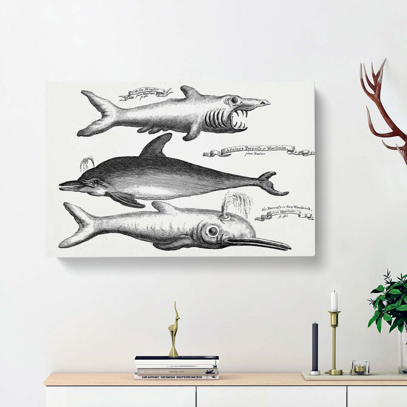 Shark and Dolphins by Thomas Astley - Wrapped Canvas Drawing - Wrapped Canvas, 40cm H x 60cm W x 3cm D