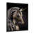 Black Picture Framed Canvas