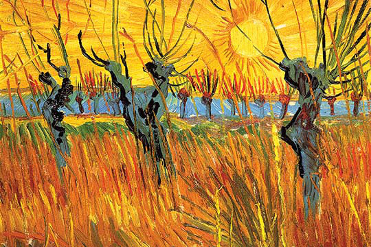 «Pollard Willows at Sunset» par Vincent Van Gogh - reproduction, H 24 po x l 36 po x P 1,5 po