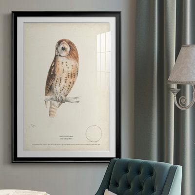 Tawny Owl - reproduction de cadre photo