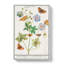 Butterflies & Pelargonium Flowers by A.B. De Boodt - Wrapped Canvas Painting-55362467