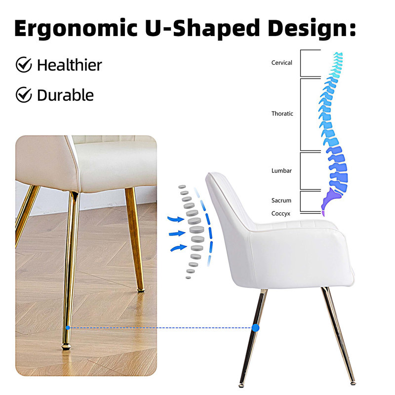 Ensemble de 2 chaises de salle à manger en similicuir - chaises d'appoint modernes à dossier moyen avec pieds plaqués or - chaises de salon rembourrées (blanc, ensemble de 2)