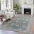 Machine Washable Indoor/Outdoor Xhevrie Fern Rug-112131998