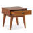 Draper 22"W Solid Wood Mid-Century Modern Rectangular End Table with Storage Drawer-825831011