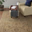 Abbeyville Oriental Area Rug-19184442