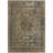 Machine Washable Indoor/Outdoor Claudian ACN1646 Brown Rug-109535472
