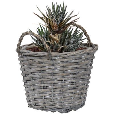5- Piece Pot Planter Set