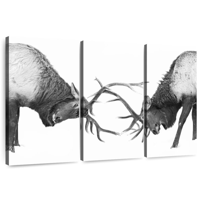Fighting Elks, 42" H x 65" W