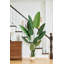 Faux arbre banane en pot 83 po