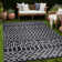 Aldo Moroccan Indoor / Outdoor Rug