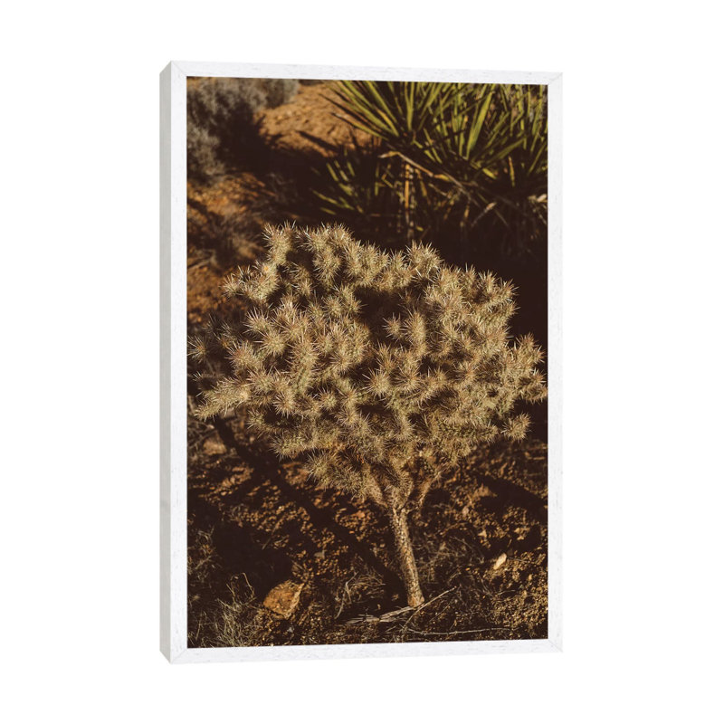 Joshua Tree National Park XIX by Bethany Young - Print on Canvas, White Framed, 66.04cm H x 45.72cm W x 3.81cm D