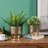 Handmade Metal Pot Planter-1786027063