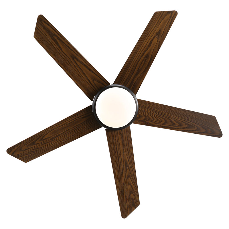 Ceiling Fan with LED Lights