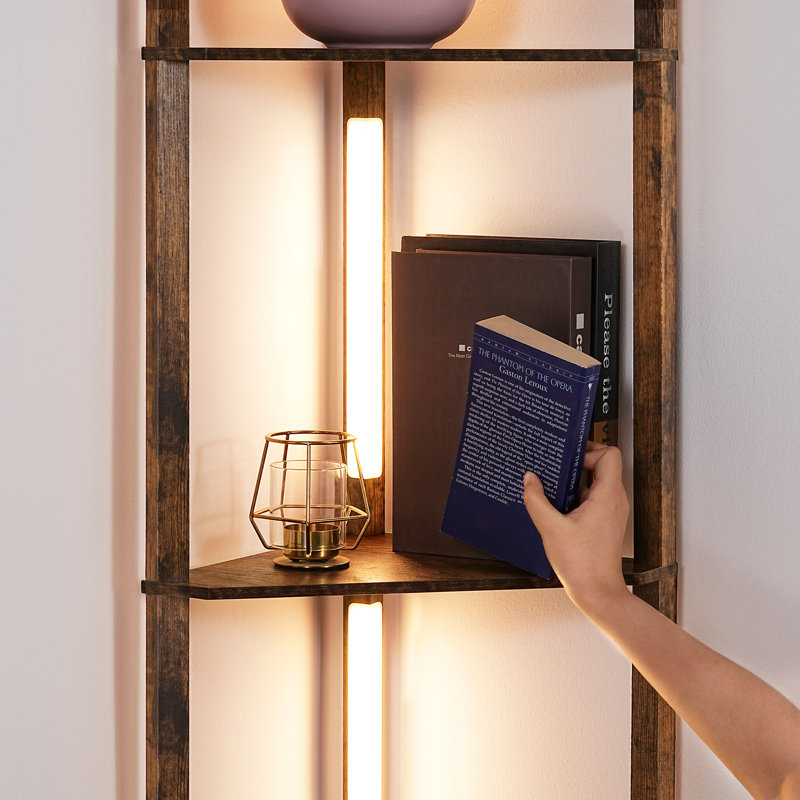 Carrye 64'' LED Dimmable Cornor Floor Lamp with Shelves, Rosewood