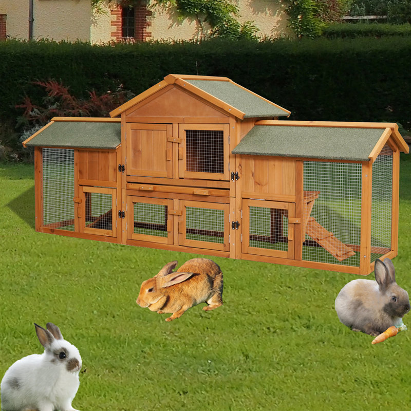 Dannetta Weather Resistant Small Animal Hutch