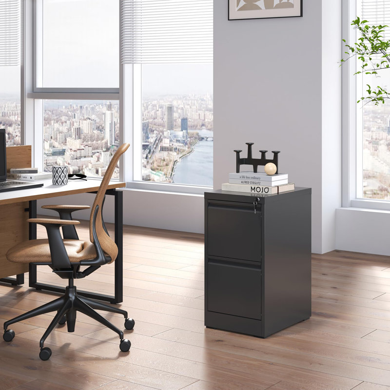 18"D 2 Drawer Metal Vertical File Storage Cabinet with Lock for Home Office A4 Letter/Legal Size, Black