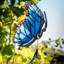 Thème Blue Morpho Twister