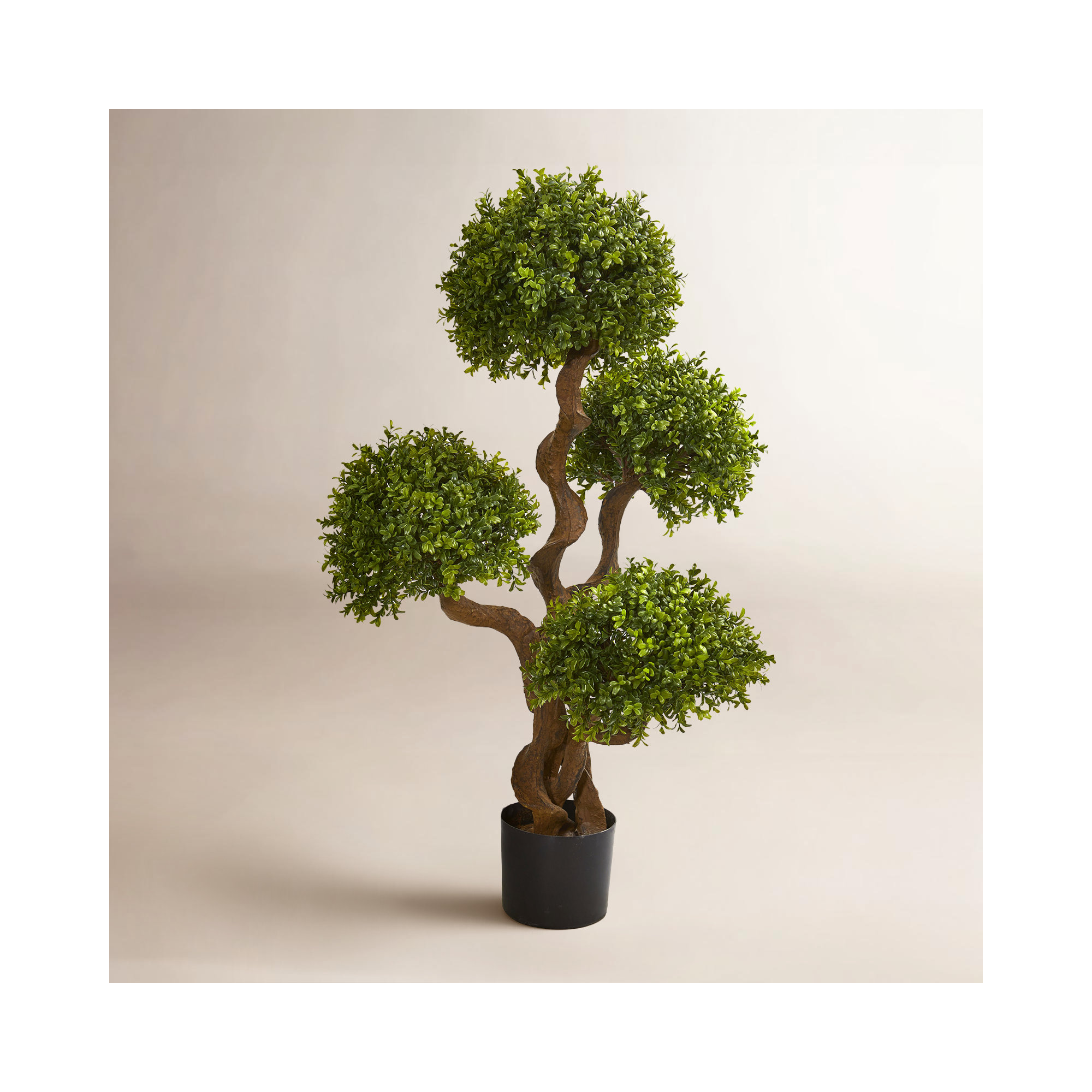 Madie 42'' Faux Boxwood Topiary in Pot