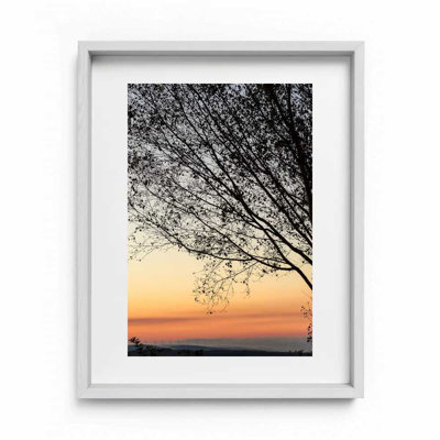 Sunset Tree Print by Joseph Regan
