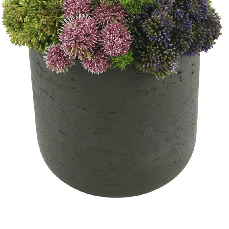 Assorted Sedum Arranged In A Fiberstone Vase, Black