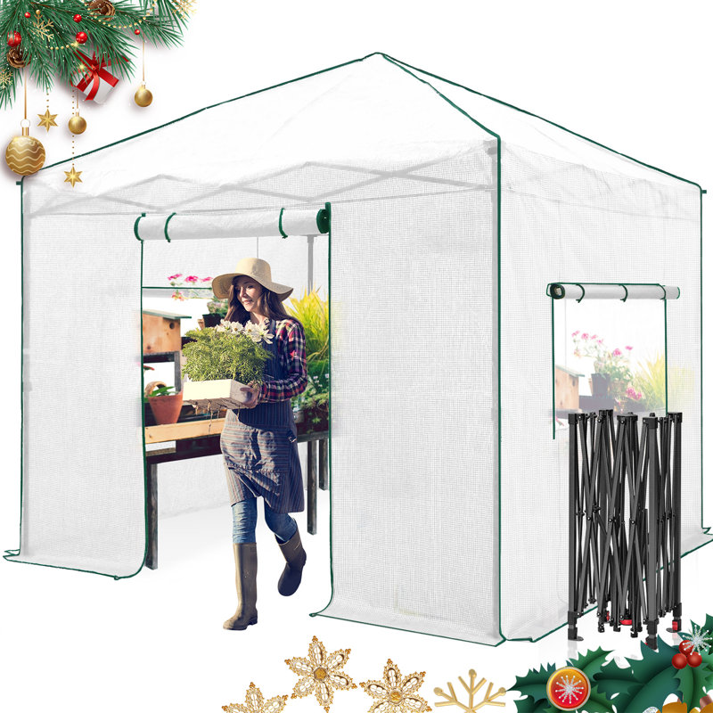 Serre Pop-Up 10 'x 10', Blanc