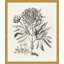 Bessler Study Neutral 2' Framed Graphic Art Print on Glass
