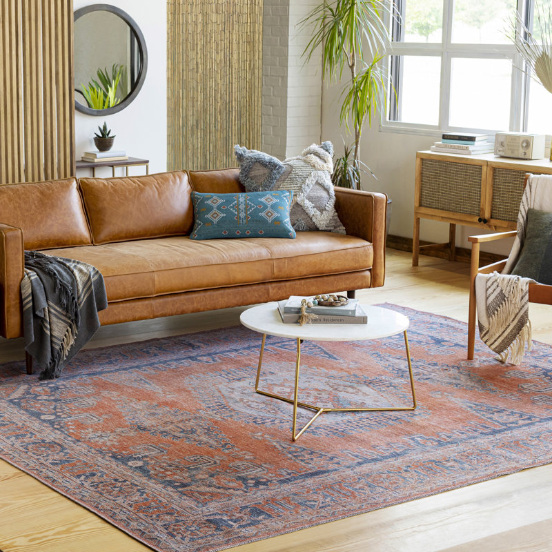 Colin Machine Washable Traditionnal Boho Area Rug, Rectangle 120 x 170cm