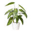 21.6'' Faux Plant in Ceramic Pot