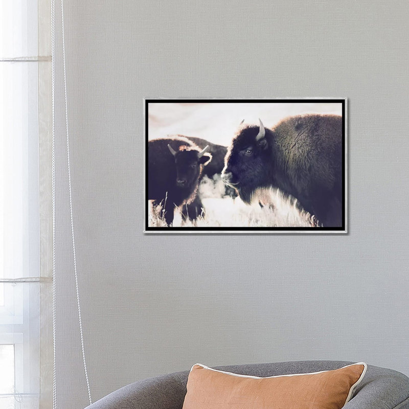 Photographie buffalo, H 18 po x l 26 po x P 1,5 po, Toile avec cadre argenté