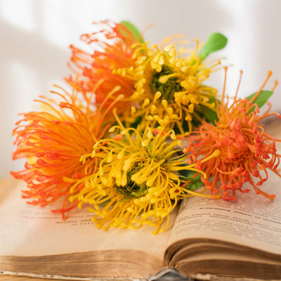 Pincushion Arrangement