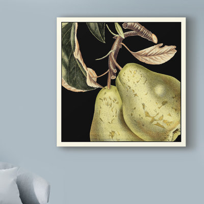 " Dramatic Pear " by Vision Studio