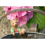 Cintre Beatrix Potter Mr Tod Pot Buddy