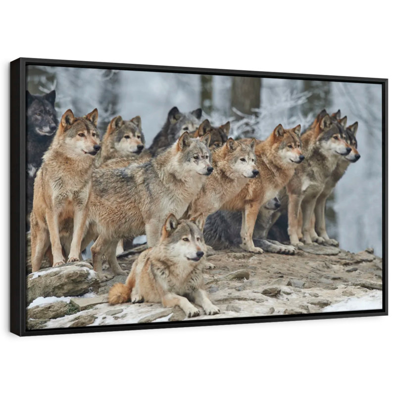 " Wild Wolf Pack ", 19" H x 13" W