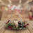 Christmas No Animal(s) Decorative Accent