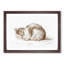 The Resting Cat by Jean Bernard - Picture Frame Drawing Print-55640210-55640214