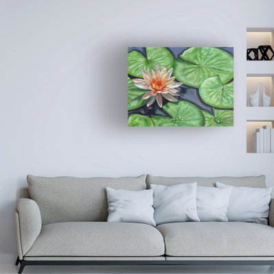 Art sur toile David
