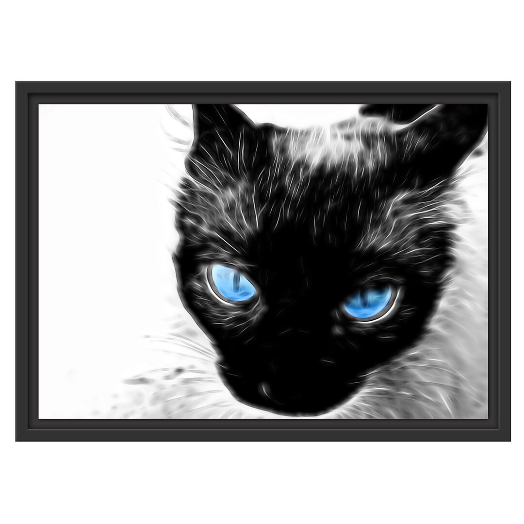 Gerahmtes Wandbild Blaue Augen schwarze Katze new Art