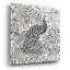 «Peacock Garden III BW» par Miranda Thomas, art mural en verre acrylique-821328579