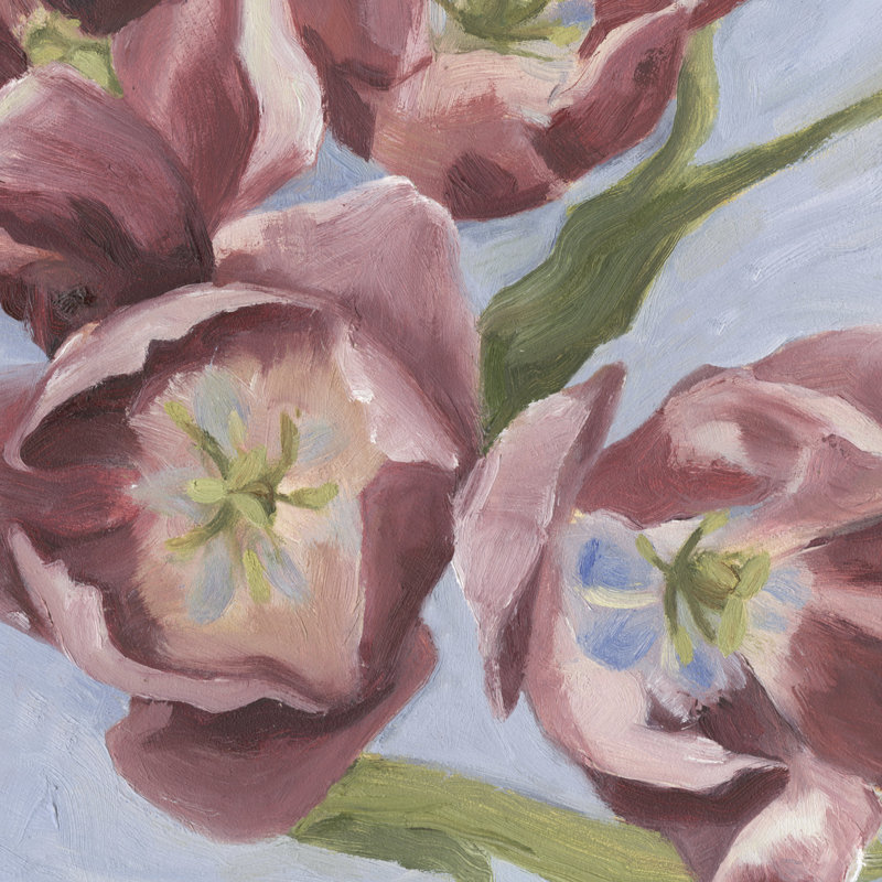 Mauve Tulips I by Emma Scarvey - Wrapped Canvas Painting, 30cm H x 30cm W