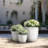 Lughan Handmade Pot Planter-589581530