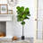 Faux Fiddle Leaf Fig Tree in Pot Liner-884255498